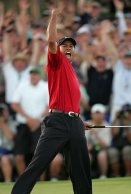 Professional golf